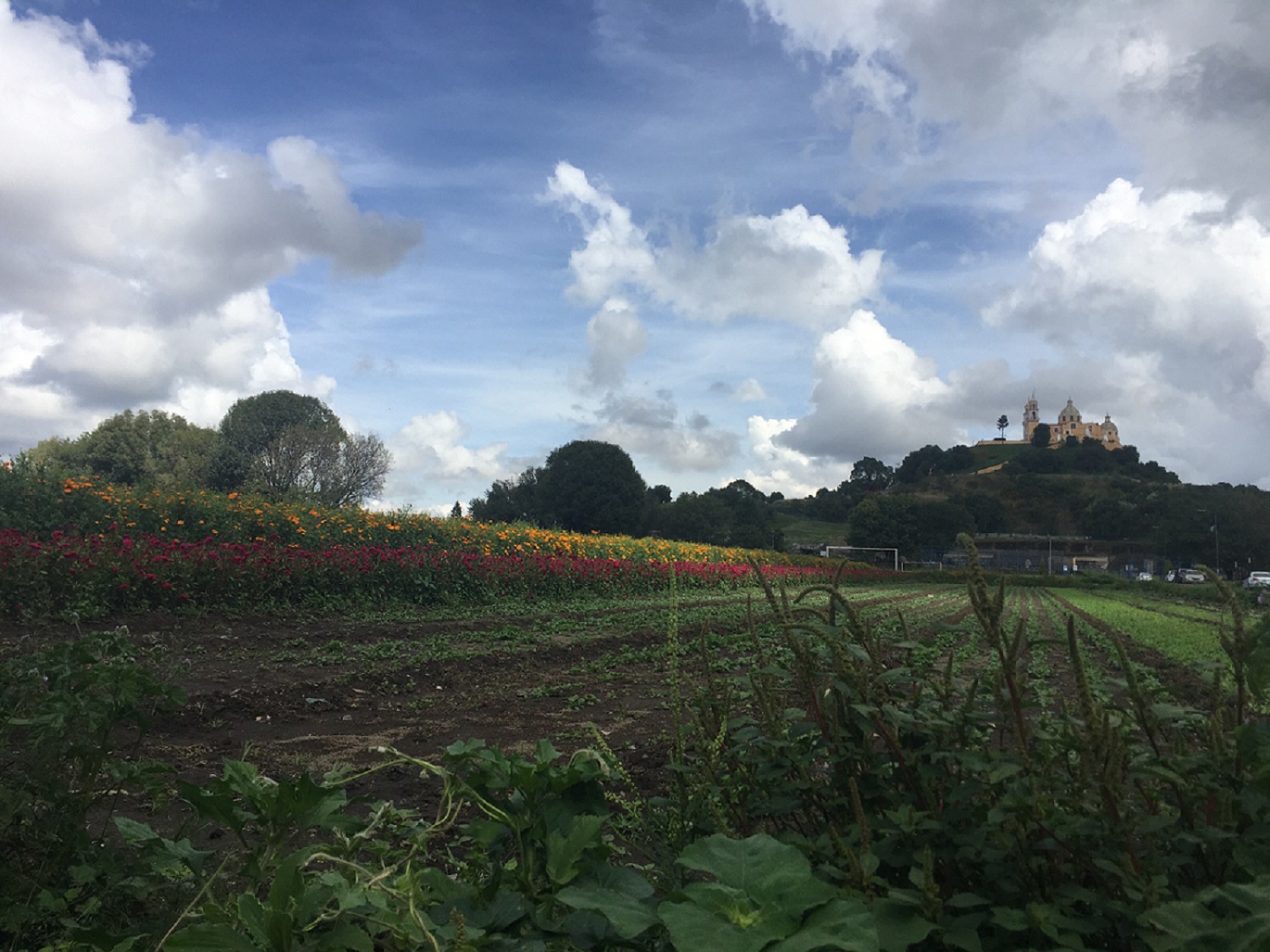 Cerrito de los remedios