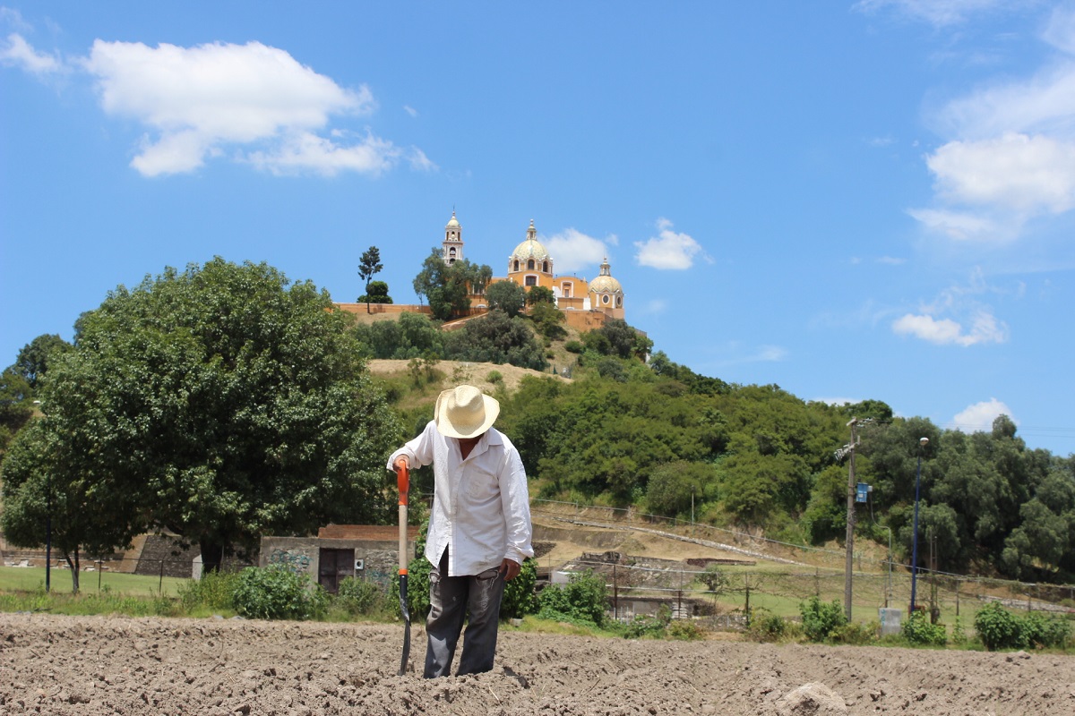 Terrenos aledaños